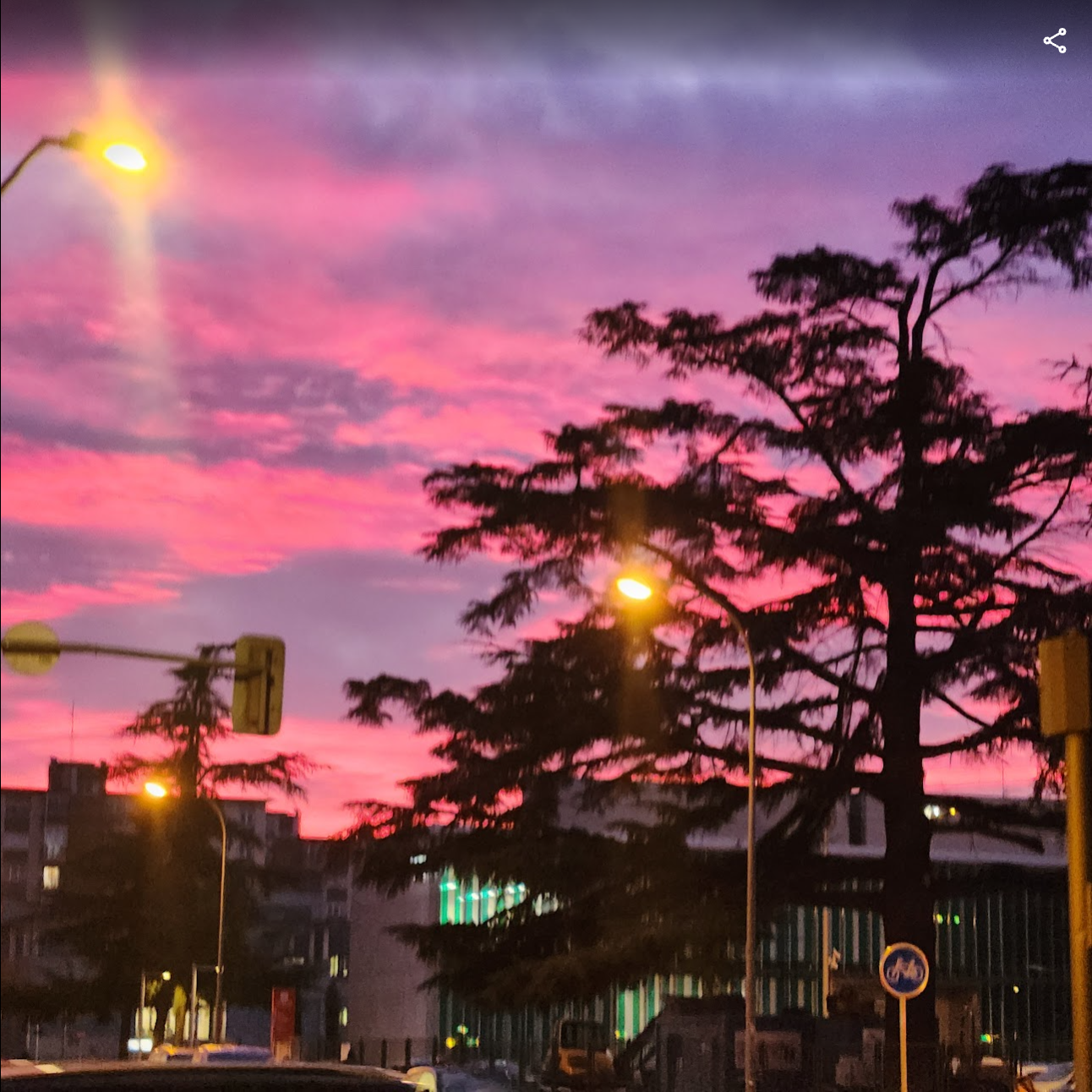 sunset
