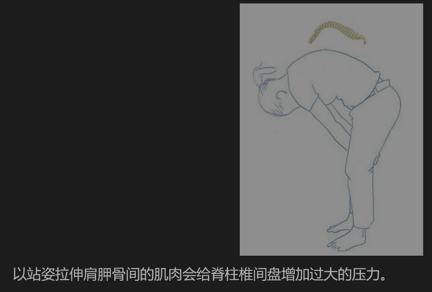 这个拉肩胛骨之间的