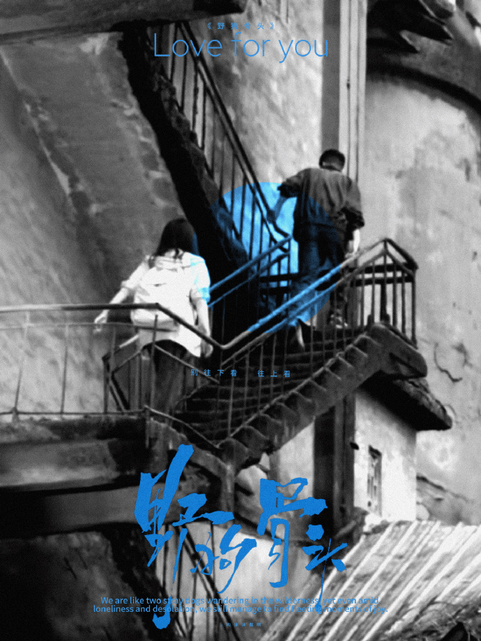 ladder